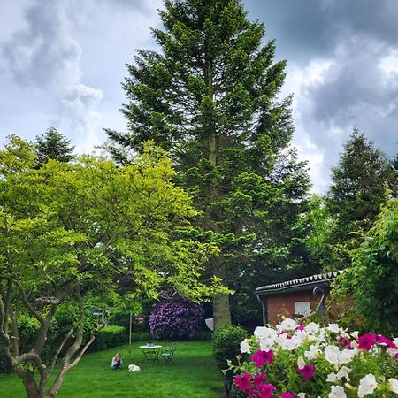 Westkueste Ferienwohnung Heide  Buitenkant foto