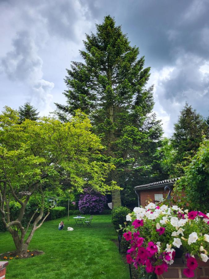 Westkueste Ferienwohnung Heide  Buitenkant foto